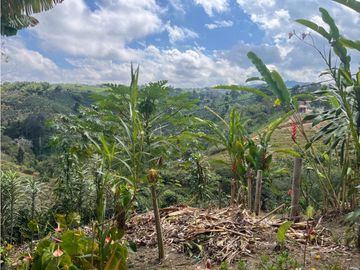 VENDO HERMOSA FINCA EN FILANDIA