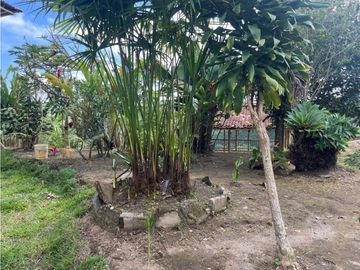 VENDO HERMOSA FINCA EN FILANDIA