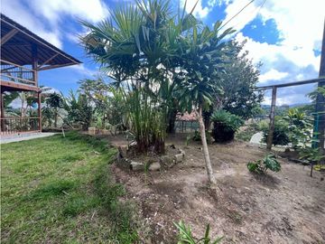VENDO HERMOSA FINCA EN FILANDIA