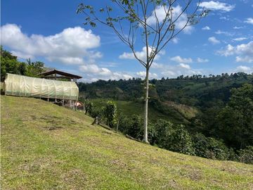 VENDO HERMOSA FINCA EN FILANDIA