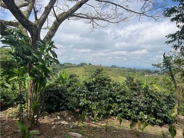 VENDO HERMOSA FINCA EN FILANDIA