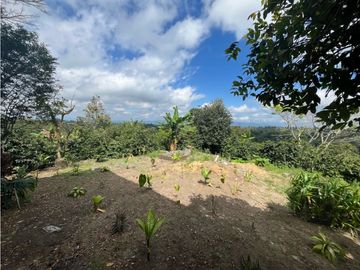 VENDO HERMOSA FINCA EN FILANDIA