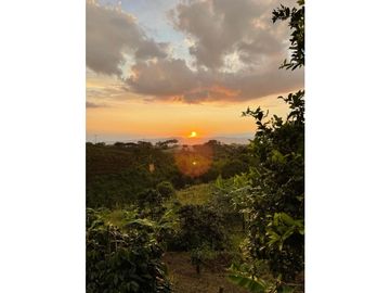 VENDO HERMOSA FINCA EN FILANDIA