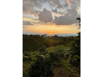 VENDO HERMOSA FINCA EN FILANDIA