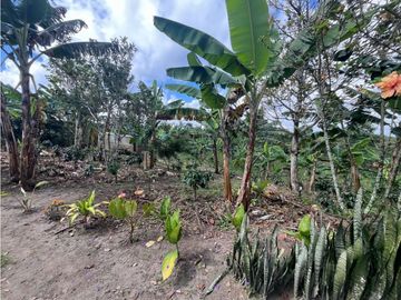 VENDO HERMOSA FINCA EN FILANDIA