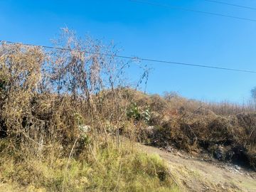 Terreno en Venta en Tilzapotla, Tequesquitengo