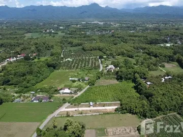 Land for sale in Kanchana, Phrae