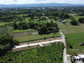 Land for sale in Kanchana, Phrae