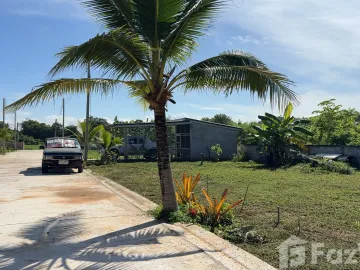 Land for sale in Kanchana, Phrae