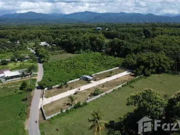 Land for sale in Kanchana, Phrae