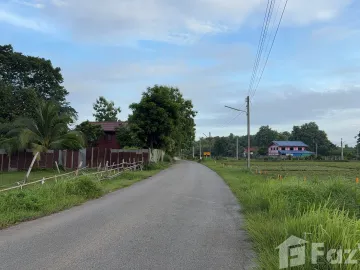 Land for sale in Kanchana, Phrae