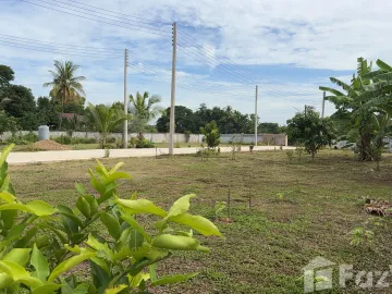Land for sale in Kanchana, Phrae