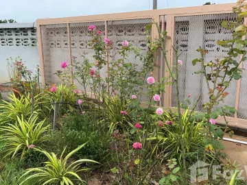 Land for sale in Kanchana, Phrae