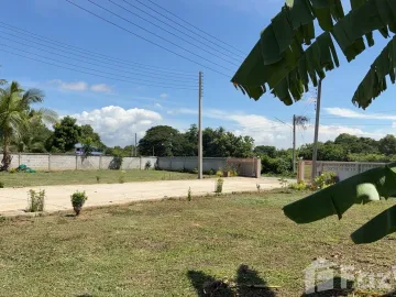 Land for sale in Kanchana, Phrae