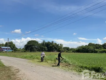 Land for sale in Kanchana, Phrae