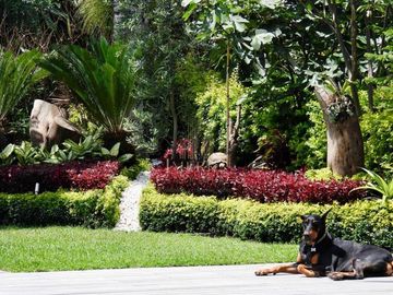 Casa en Venta en Vista Hermosa, Cuernavaca