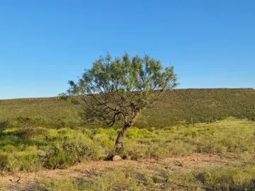 Finca-Rancho en venta en Rancho Nuevo, Ramos Arizpe, Coahuila de Zaragoza