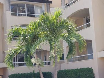 Departamento en PB, acceso directo a la alberca, gran ubicación en Cancún.