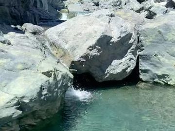 Agrícola en Venta en FUNDO RESERVA LOS QUEÑES
