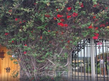 Sitio en Venta en HARAS DE PIRQUE