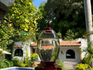 Vendo Casa Pino Col. Rancho Cortes Cuernavaca Mor.
