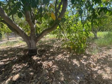 OFERTA ! PARCELA CON CASA TIPO CABAÑA EXCELENTE UBICACIÓN