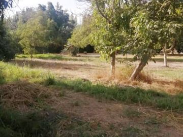 OFERTA ! PARCELA CON CASA TIPO CABAÑA EXCELENTE UBICACIÓN