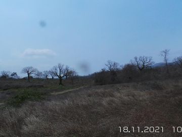 TERRENO DE 8.985,62 M2,EN  SITIO LA PILA DE MONTECRISTI  MANABÍ.
