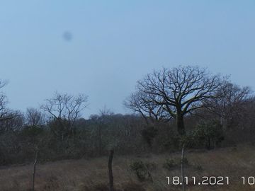 TERRENO DE 8.985,62 M2,EN  SITIO LA PILA DE MONTECRISTI  MANABÍ.