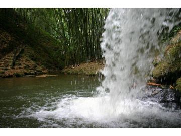 VENTA FINCA-HOTEL LA TEBAIDA QUINDIO