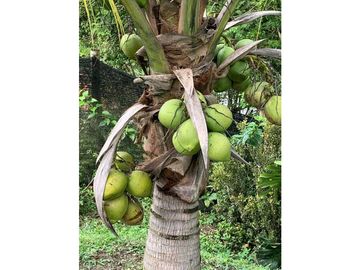 Venta Finca Nocaima cerca a la Vega y Villeta Una Hectarea y 860 Metro