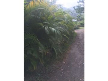 Venta Finca Nocaima cerca a la Vega y Villeta Una Hectarea y 860 Metro