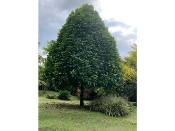 Venta Finca Nocaima cerca a la Vega y Villeta Una Hectarea y 860 Metro