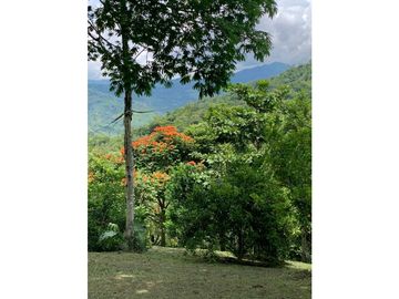 Venta Finca Nocaima cerca a la Vega y Villeta Una Hectarea y 860 Metro