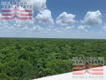 Departamento en Venta, Lagunas de Mayakoba