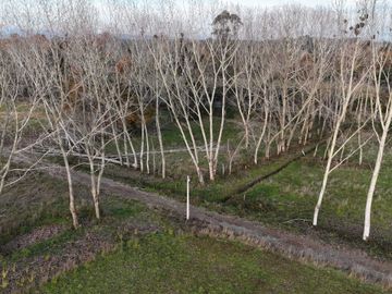 Parcela en venta en MARIQUINA