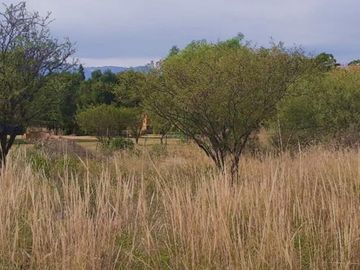 Terrenos en Venta, Escritura, Fibra Óptica y Servicios, Camino a la Boca del Río, Traslasierra