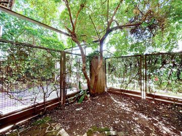 duplex en PB con Jardin 3 ambientes