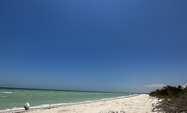 Terrenos en Venta en Sisal