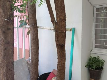 CASA EN VENTA EN FRACCIONAMIENTO INFONAVIT GRIJALVA