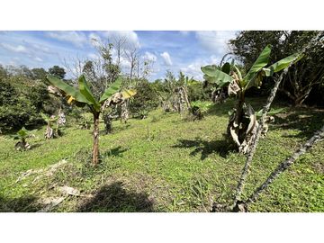 VENTA DE CASA CAMPESTRE EN FILANDIA, QUINDO, COLOMBIA