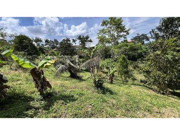 VENTA DE CASA CAMPESTRE EN FILANDIA, QUINDO, COLOMBIA