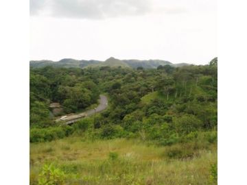 Se Vende Terreno en Churuquita, Penonome
