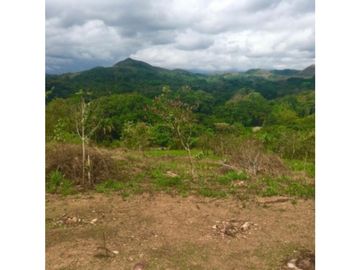 Se Vende Terreno en Churuquita, Penonome
