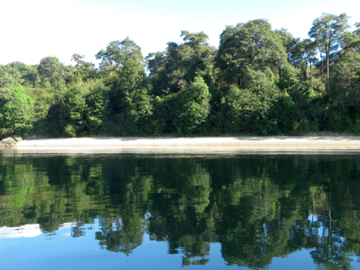 Sitio en Venta en Isla Parque - Puerto Aguirre