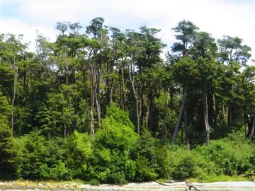 Sitio en Venta en Isla Parque - Puerto Aguirre