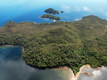 Sitio en Venta en Isla Parque - Puerto Aguirre