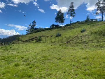 Finca en el Rosal de las Malvinas, Ibarra, provincia de Imbabura