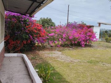 FINCA EN VENTA DE 1 HECTAREA