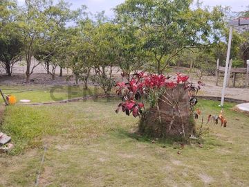 FINCA EN VENTA DE 1 HECTAREA